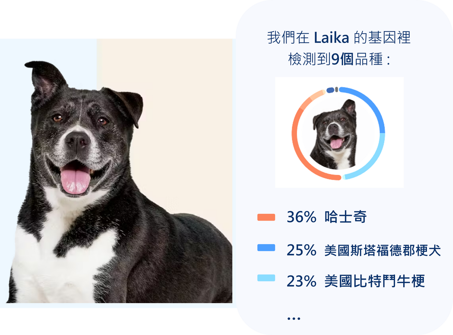狗狗基因檢測組