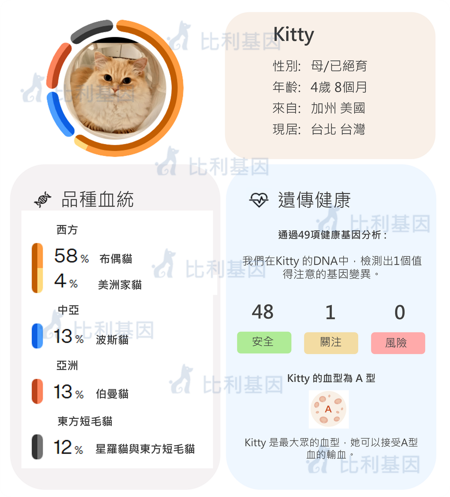 貓咪基因檢測組