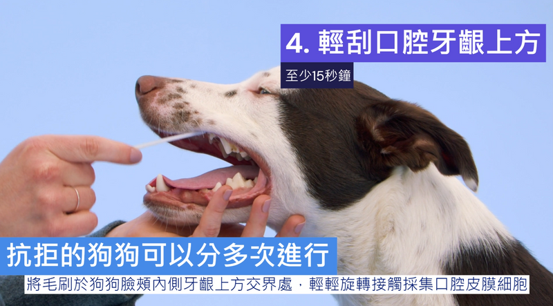 採集步驟 4