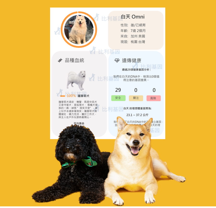 狗狗基因檢測組