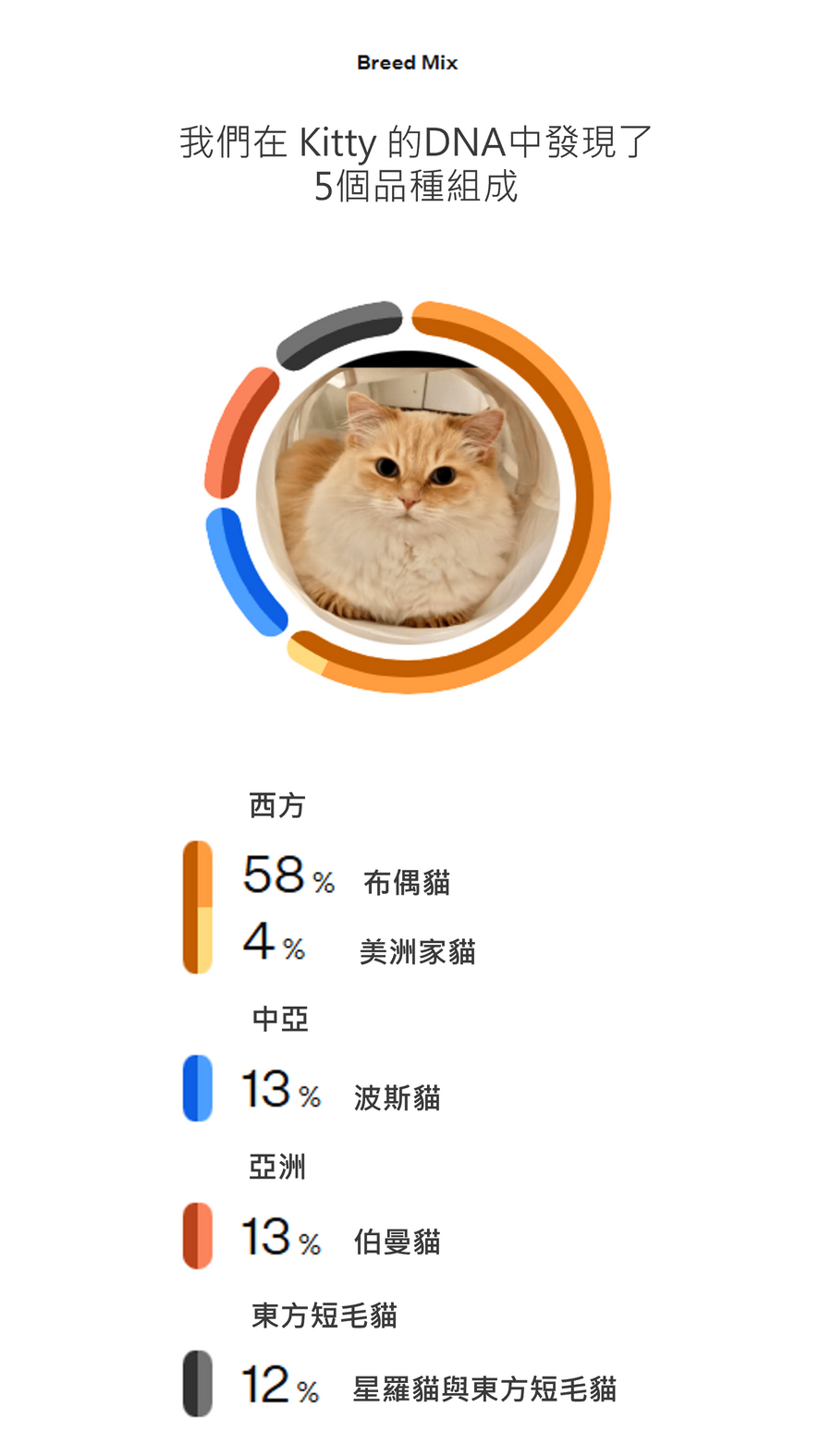 貓咪品種血統總覽報告截圖