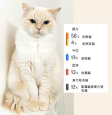 貓咪基因檢測組