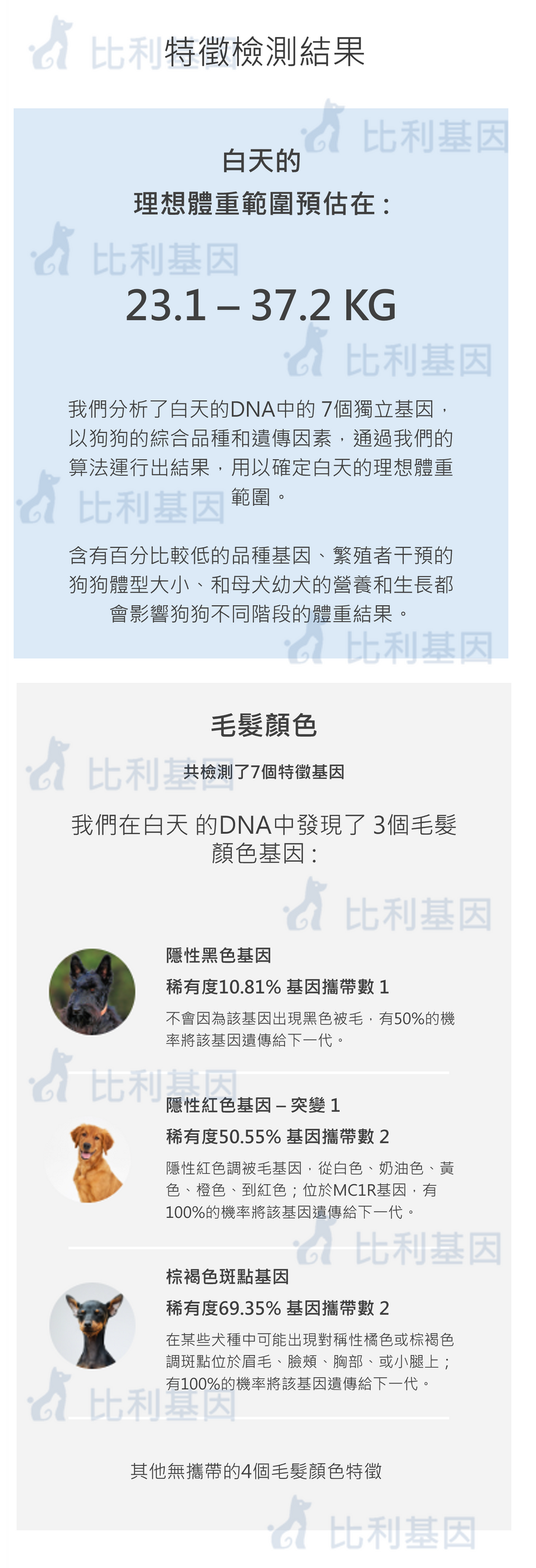 遺傳外觀特徵詳細報告截圖